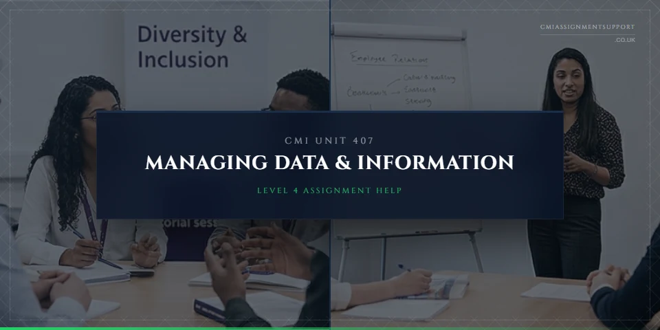 CMI 407 Assignment Help: Managing Data and Information