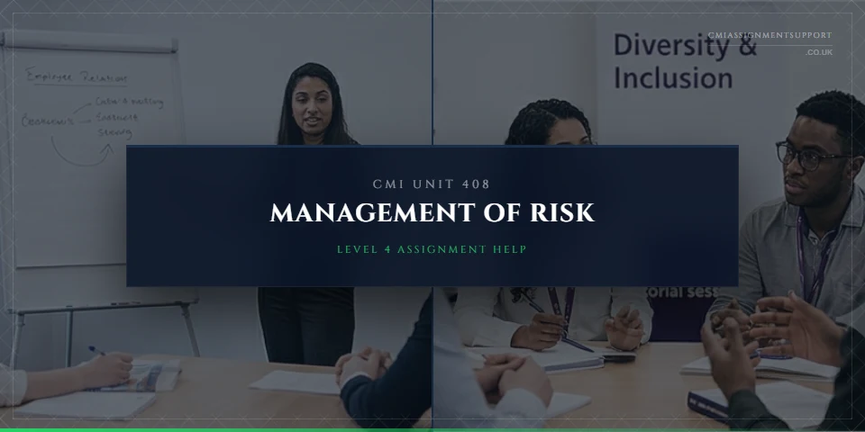CMI 408 Assignment Help: Management of Risk