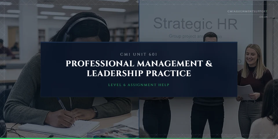 CMI 601 Assignment Help: Professional Management and Leadership Practice