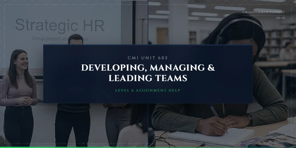 CMI 602 Assignment Help: Developing, Managing and Leading Individuals and Teams